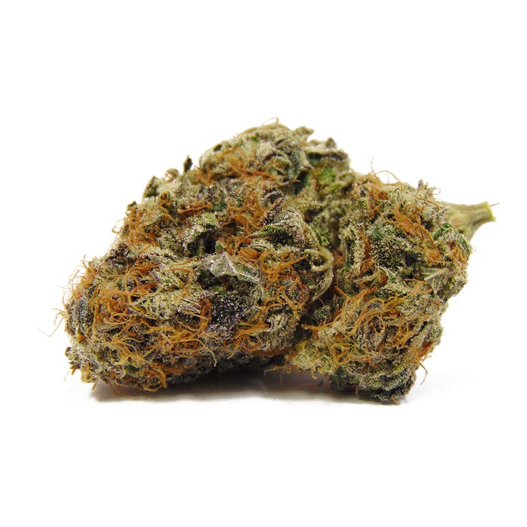 Grape Pie
