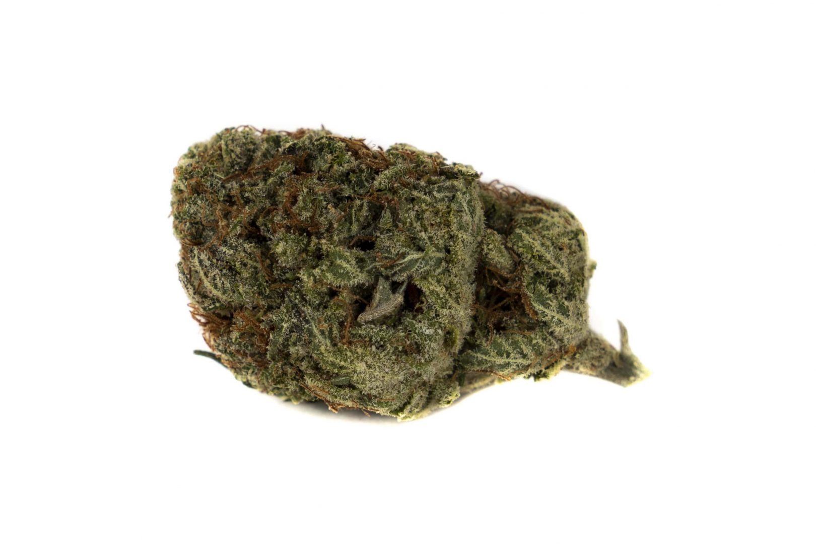 Apple Fritter