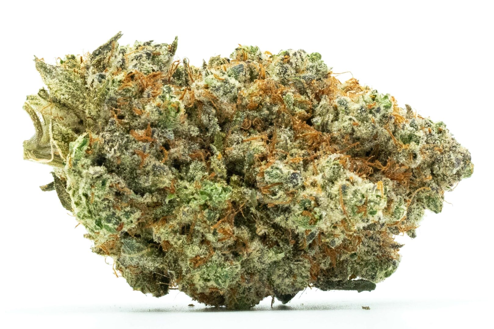 Wet Dream | TOP SHELF $189/OUNCE