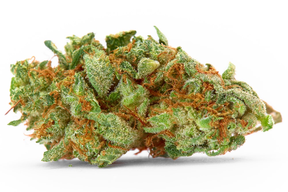 Cherry Bomb
