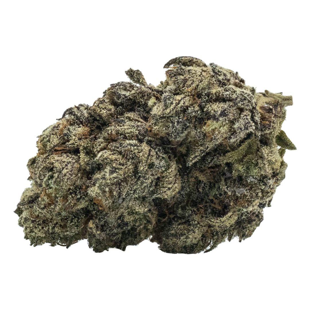 Glitter Bomb | TOP SHELF