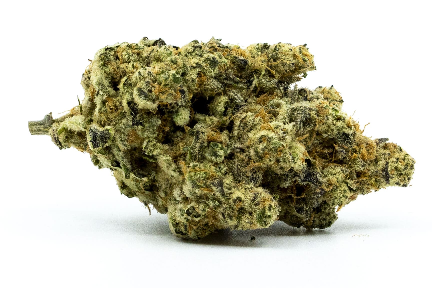 Jungle Cake
