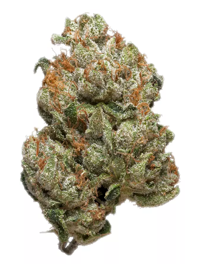 King Kong Glue