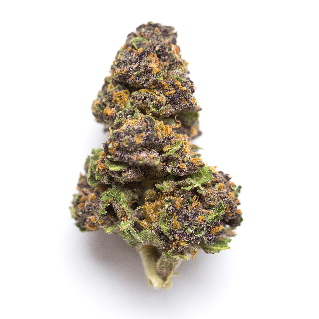 Limoncello Strain | TOP SHELF
