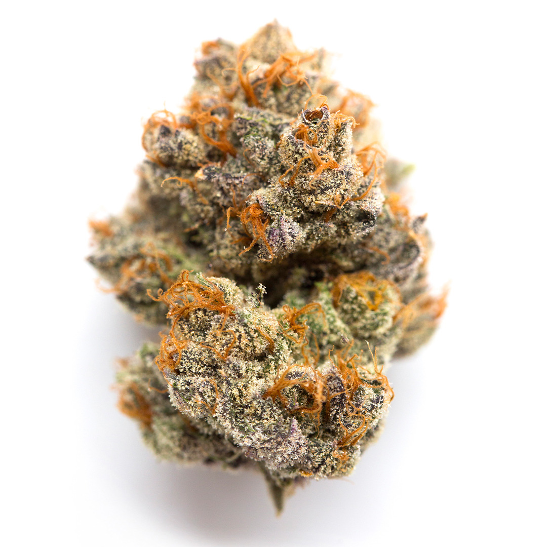 Romulan | TOP SHELF