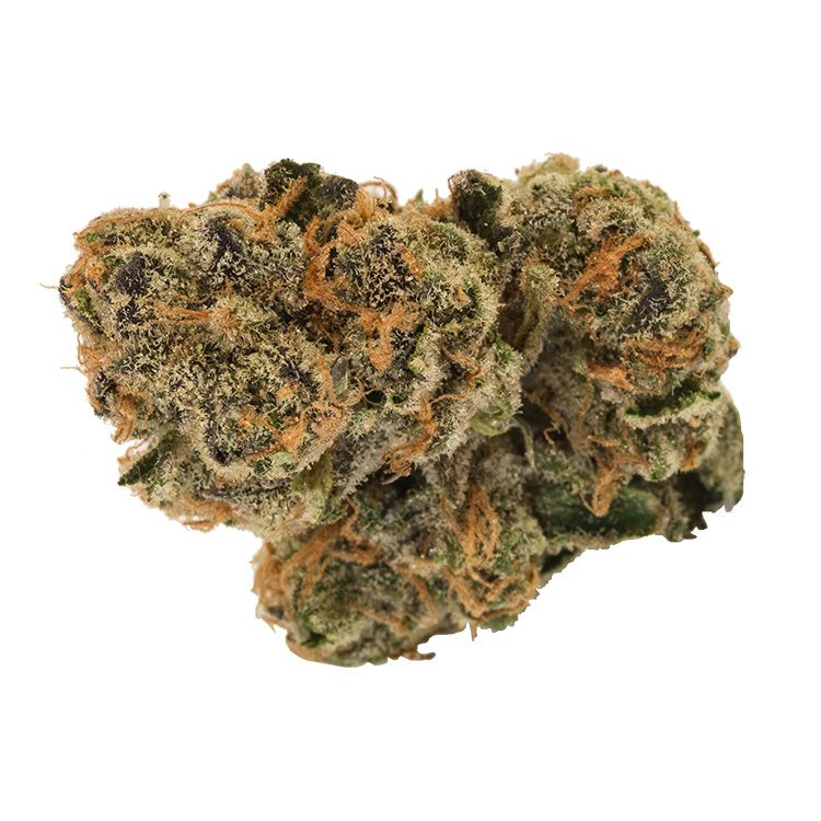 GSC
