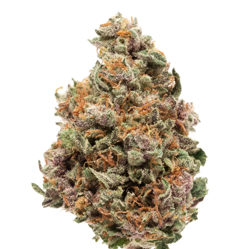 Purple Urkle
