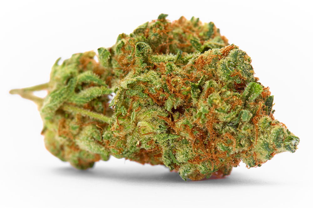 Obama OG