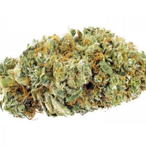 Gorilla Glue #4
