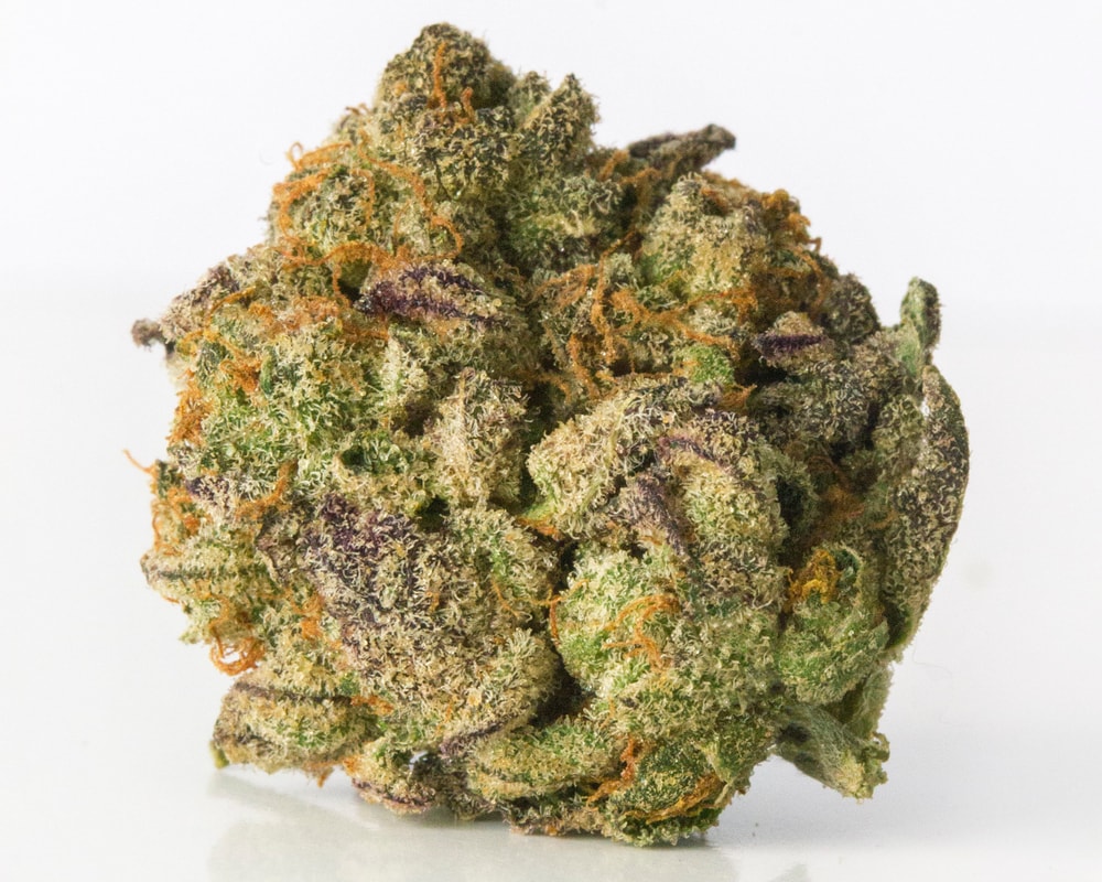 Northern Lights